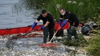 Ba Lan: Chưa phát hiện thấy chất độc khiến hàng tấn cá chết trên sông Oder