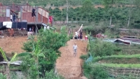 Lai Châu: Mưa đá trên diện rộng, thiệt hại ước tính hơn 15 tỷ đồng