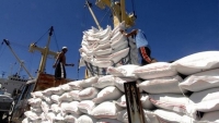 Từ 0h00 ngày mai thêm 38.000 tấn gạo nếp được xuất khẩu trong hạn ngạch tháng 4