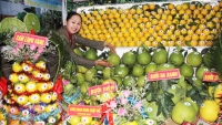 Bắc Giang: Nhiều nét mới tại hội chợ cam, bưởi và các sản phẩm đặc trưng của huyện Lục Ngạn năm 2019