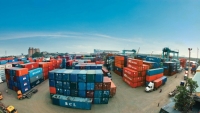 Trung Quốc khử trùng phòng dịch toàn bộ hàng nhập khẩu, Bộ Công Thương ra khuyến cáo với doanh nghiệp