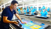Cơ quan CSĐT Bộ Công an: Sản phẩm Asanzo ghi 'made in Vietnam' là phù hợp quy định