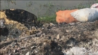 Kiến An (Hải Phòng): Cần ngăn chặn tình trạng đốt rác thải y tế và linh kiện điện tử tại phường Tràng Minh