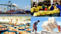 Tổng kim ngạch xuất khẩu nông, lâm, thủy sản 10 tháng ước đạt hơn 59 tỷ USD