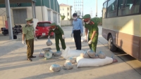 Thanh Hóa: Bắt giữ xe vận chuyển 545kg thực phẩm không rõ nguồn gốc xuất xứ