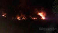 Thanh Hoá: Cháy rừng thông tại thị xã Nghi Sơn