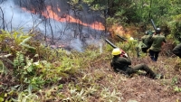Thanh Hóa: Xuyên đêm dập cháy rừng thông
