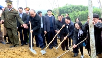 Thủ tướng dự Lễ phát động Tết trồng cây và trao Bằng công nhận nông thôn mới cho huyện Trấn Yên tỉnh Yên Bái