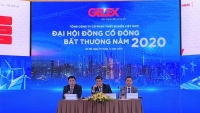 Gelex sẽ hợp nhất với Viglacera trong năm 2021