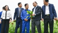 Thủ tướng: Nông nghiệp thông minh có thể đưa Việt Nam trở thành nền kinh tế thu nhập trung bình cao trước 2035