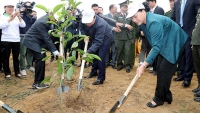 Chủ tịch Quốc hội dự Lễ ra quân hưởng ứng Tết trồng cây tại tỉnh Hòa Bình