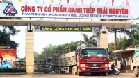 Chuyển hồ sơ sang cơ quan điều tra làm rõ sai phạm tại dự án Gang thép Thái Nguyên