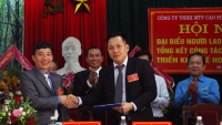 Hà Tĩnh: Công ty cao su Hương Khê phấn đấu khai thác 600 tấn mủ cao su năm 2019