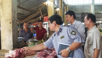 Kiểm tra liên ngành về an toàn thực phẩm tại 12 tỉnh, thành phố