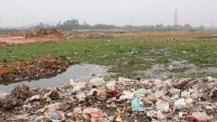KCN Trung Thành (Thái Nguyên): “Đất vàng” bỏ hoang, ô nhiễm môi trường