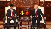 Động lực mới thúc đẩy hợp tác song phương Việt Nam - Brunei