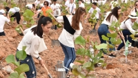 10.000 cây xanh được gieo trồng trong Lễ phát động chiến dịch Go Green 2019 của Tập đoàn FLC