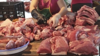 Đồng Nai: Dân bán tháo lợn mặc dù chưa xuất hiện dịch tả
