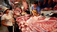 Giá thịt lợn bắt đầu tăng do dịch được kiểm soát