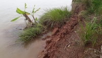 Xuân Trường (Nam Định): Bờ bãi tan hoang vì “cát tặc”