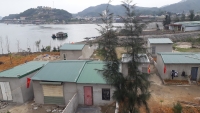 Quảng Ninh: Nhà xây trái phép, tràn lan trên đất lấn biển
