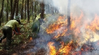 Triển khai các biện pháp cấp bách phòng cháy, chữa cháy rừng