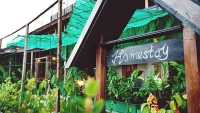 Homestay – Kênh đầu tư mới