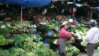 Hà Nội: Phấn đấu đến năm 2030 có thêm 6 chợ đầu mối cấp vùng