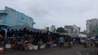 Tiền Giang:  Cần tổ chức đấu giá công khai việc thu phí ở chợ trái cây Vĩnh Kim