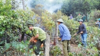 Sau Hà Tĩnh, 5 ha rừng ở Quảng Bình bị thiêu rụi hoàn toàn