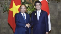 Nhật Bản là đối tác tin cậy, quan trọng hàng đầu của Việt Nam