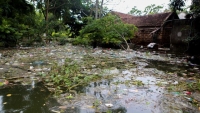 Hà Nội: Phòng ngừa sự cố, đảm bảo vệ sinh môi trường trong mùa mưa bão