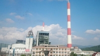 Công ty Nhiệt điện Uông Bí chú trọng công tác bảo vệ môi trường