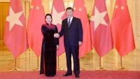 Chủ tịch Quốc hội Nguyễn Thị Kim Ngân hội kiến Tổng Bí thư, Chủ tịch nước Trung Quốc Tập Cận Bình