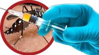 Việt Nam hoàn thành nghiên cứu vắc - xin sốt xuất huyết