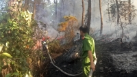 Huế: Nghi vấn đốt vàng mã ngày rằm tháng 7 gây cháy rừng lớn