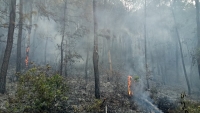 Huế: Cháy rừng ở núi Ngũ Phong tiếp tục bùng phát