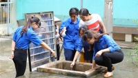 Bộ Giáo dục và Đào tạo huy động học sinh, giáo viên tham gia diệt bọ gậy phòng chống sốt xuất huyết