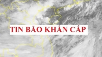 Chiều 30/8, bão số 4 đổ bộ đất liền các tỉnh  từ Thanh Hóa đến Quảng Bình