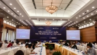 Giải pháp đưa thị trường khí Việt Nam phát triển bền vững