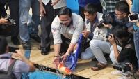 Chuyên gia thả hàng trăm con cá Koi xuống sông Tô Lịch và Hồ Tây