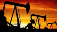 Thuế suất nhập khẩu dầu mỏ giảm xuống còn 0%