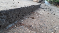 Thanh Trì (Hà Nội): Trải bê tông làm đường dưới mưa