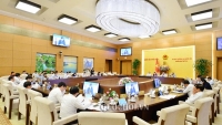 Thủ tướng phân công trình bày, tiếp thu một số dự án luật tại Phiên họp 38 UBTV Quốc hội