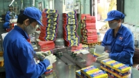 Công ty CP Pin Hà Nội bị xử phạt hành chính hàng trăm triệu đồng