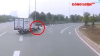 Video giao thông: Rẽ phải đột ngột, tài xế suýt đoạt mạng người đi xe máy