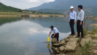 Đà Nẵng: Giám sát, kiểm tra nước đầu nguồn nghi ô nhiễm