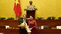 Ông Hoàng Thanh Tùng được bầu giữ chức Ủy viên UBTVQH, Chủ nhiệm Ủy ban Pháp luật