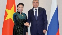 Tạo xung lực mới thúc đẩy quan hệ hợp tác toàn diện Việt Nam - Liên bang Nga