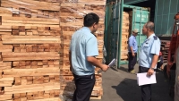 Mở rộng điều tra vụ doanh nghiệp xuất khẩu gỗ trốn thuế gần 3 tỷ đồng